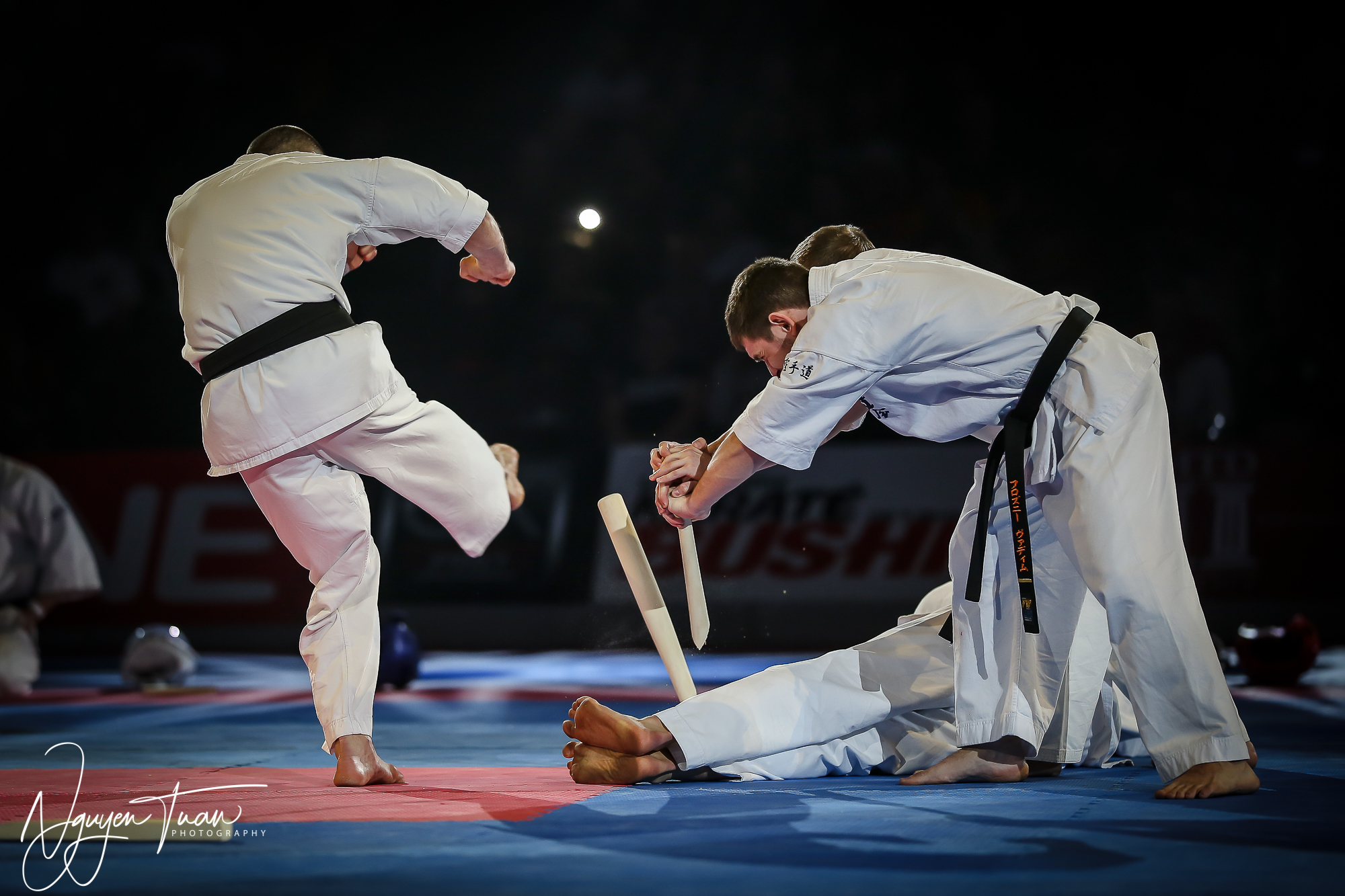 20190324 Festival des Arts Martiaux 3351